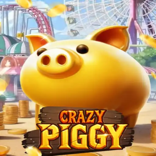 Exploring CrazyPiggy: An Engaging Encounter with Rio EE⭐️