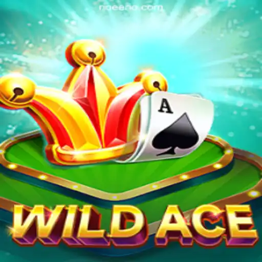 Exploring WildAce: An Exciting Adventure